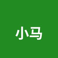 小马拉大车